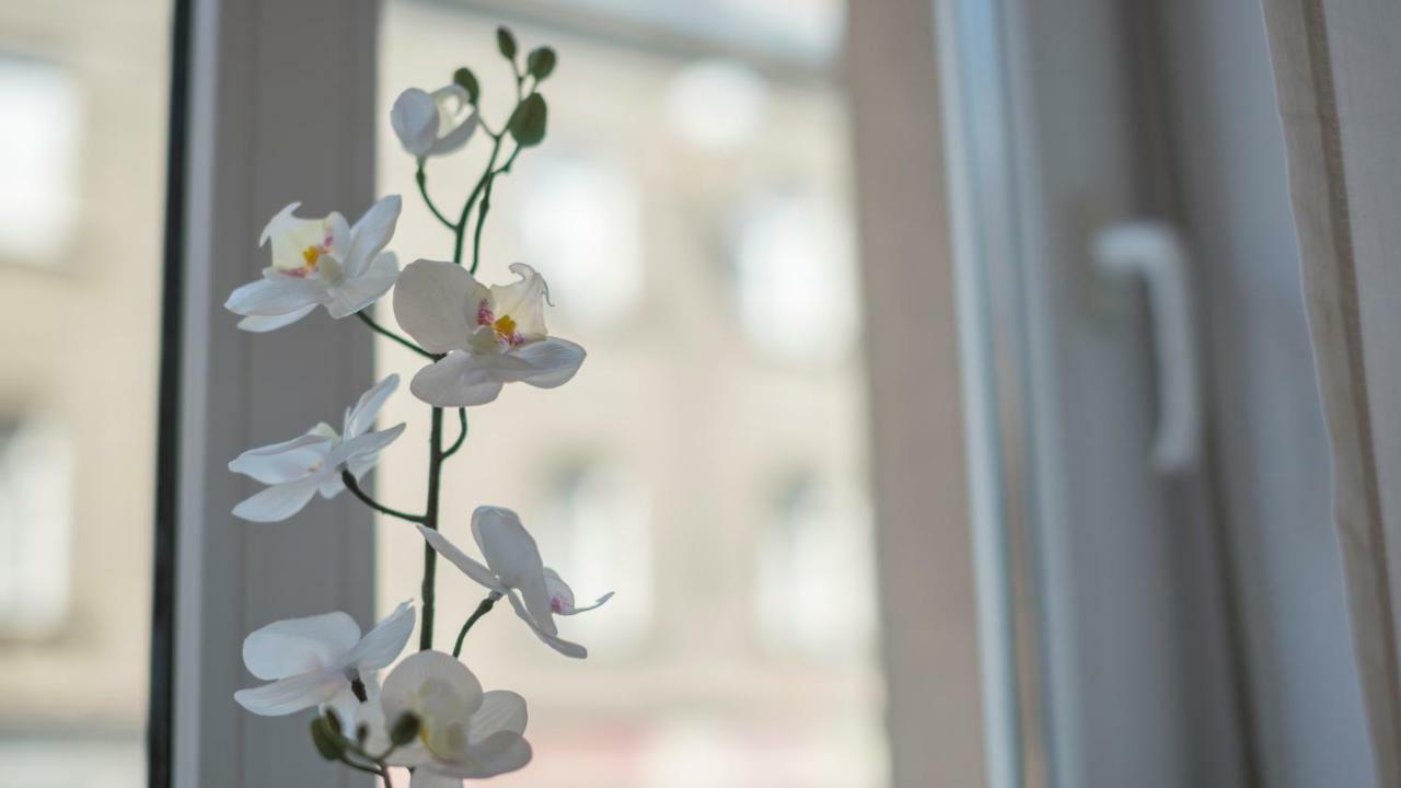 "D&M" Studio Apartments Zagrzeb Zewnętrze zdjęcie